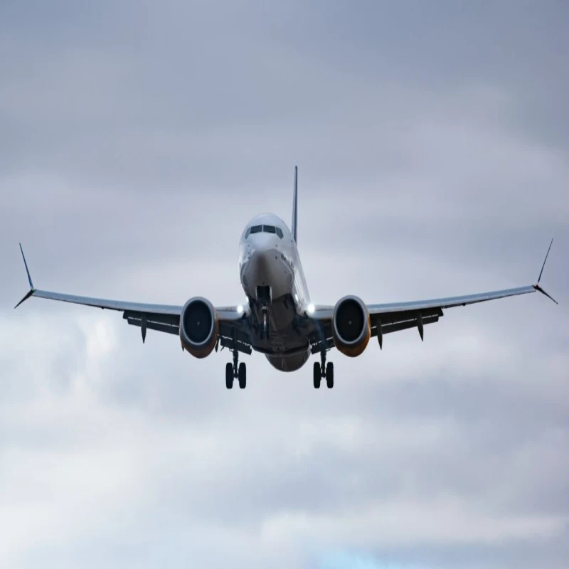 CX MF NH Airlines Cargo Shipping